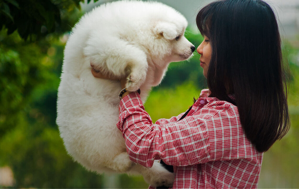 slider3 (1)